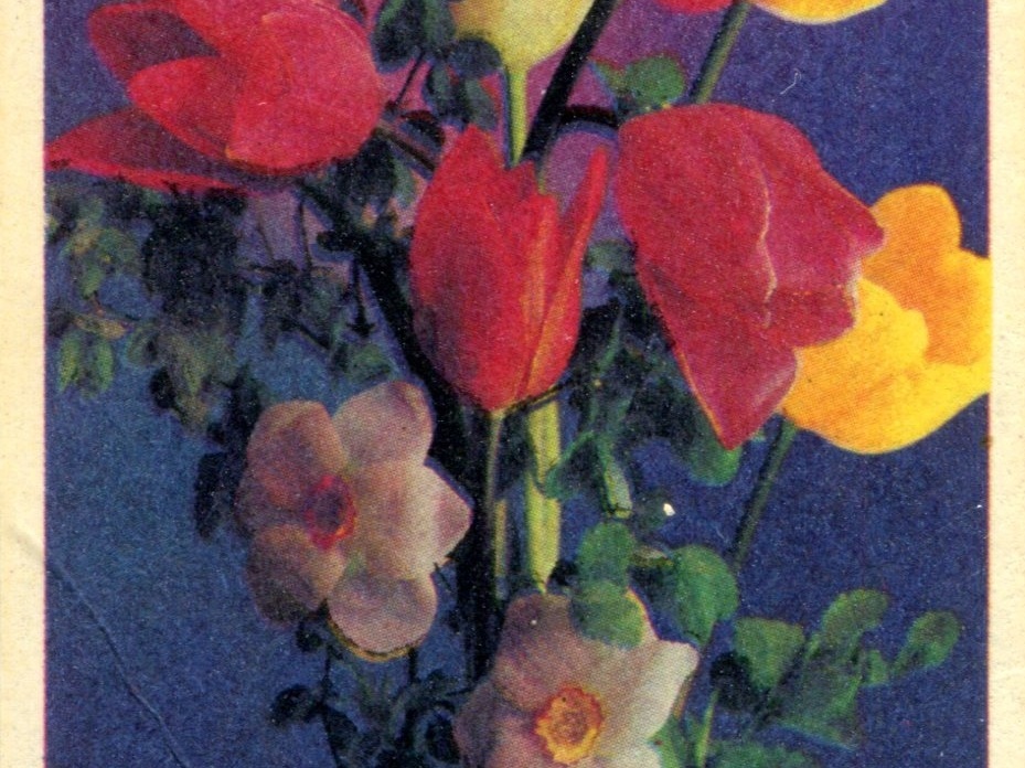 1987. Цветы - к101