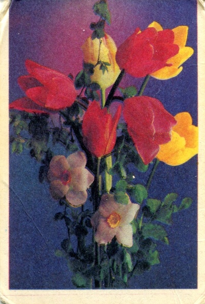 1987. Цветы - к101.jpg